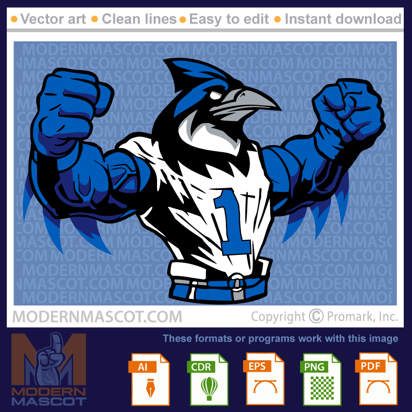 Bluejay Football - bluejay_football_24_01