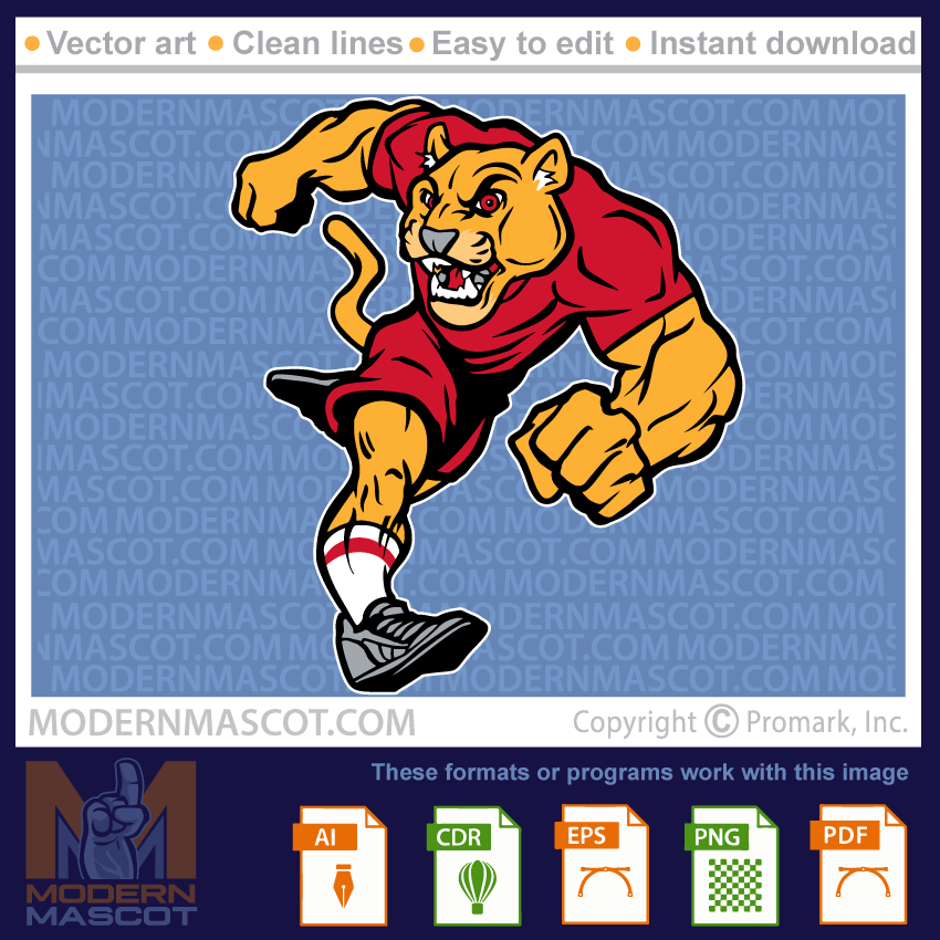 Cougar Running- cougar_23_17