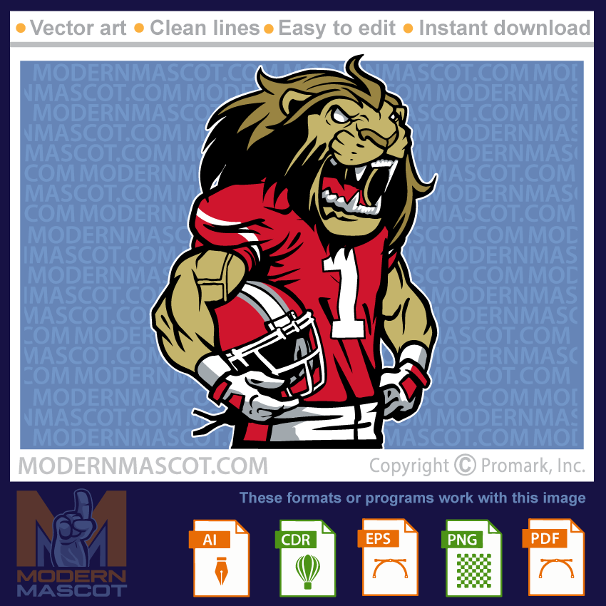 Lion Football - lion_23_football_16