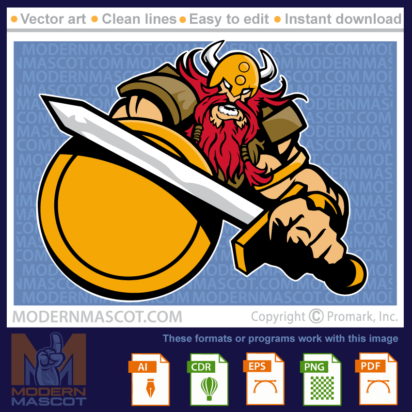 Viking shield -viking_23_02