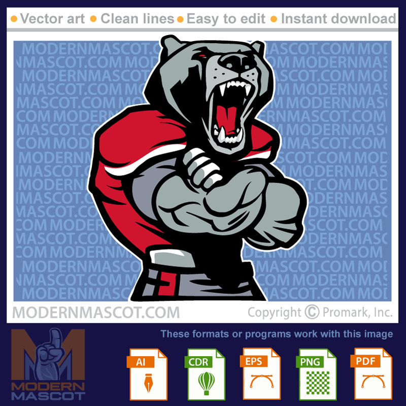 Bear Football Player - bear_23_football_14