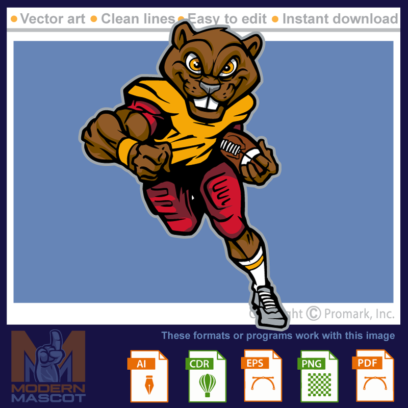 Beaver Football 5 - beaver_22_football_05