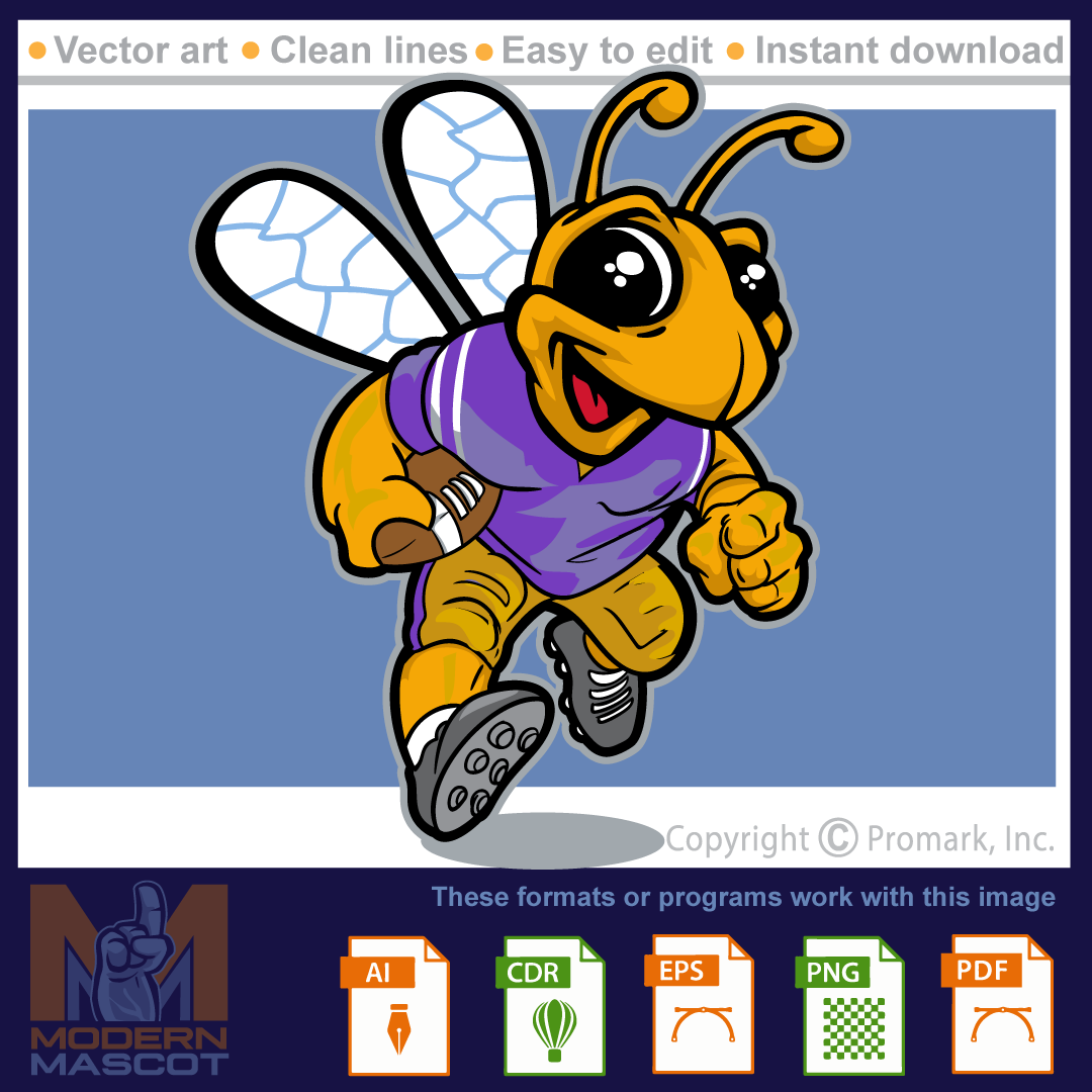 Bee Football 1 - bee_22_football_01