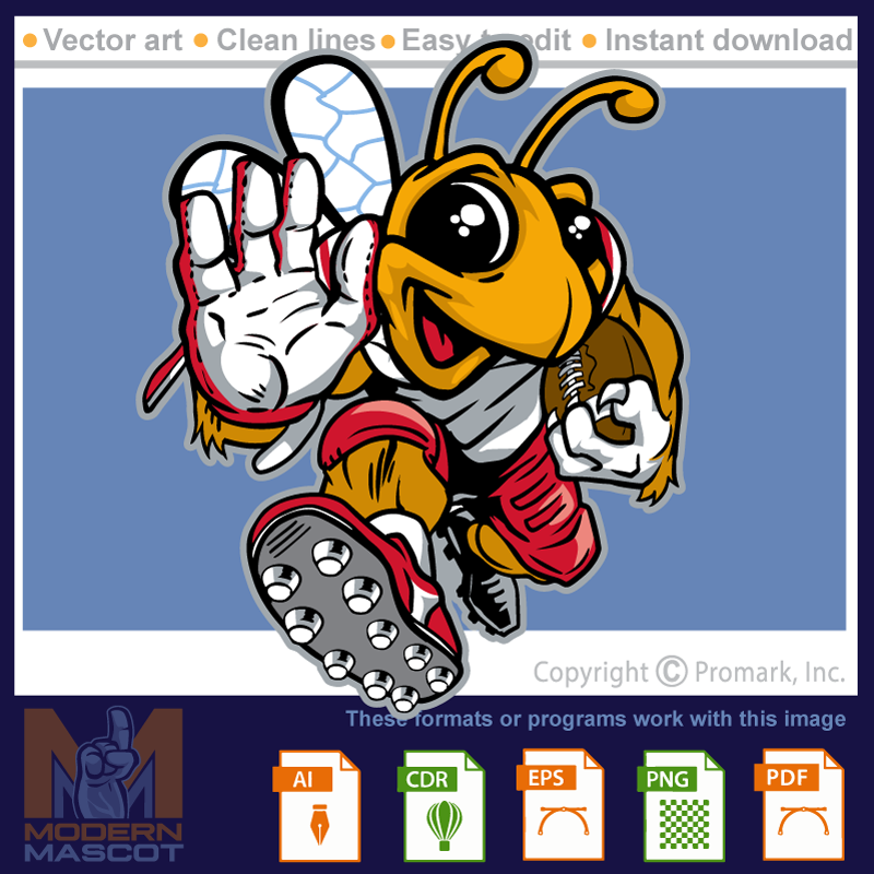 Bee Football 2 - bee_22_football_02