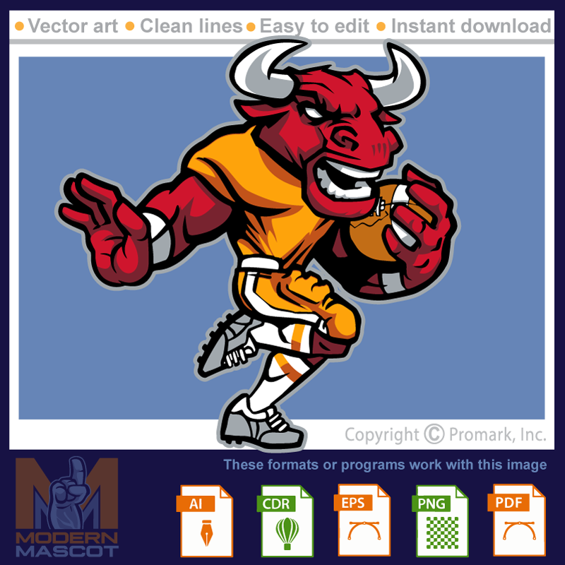 Bull Football 5 - bulls_22_football_05