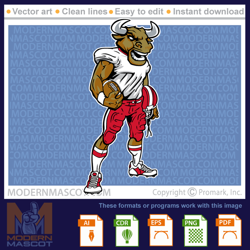 Bull Football - bulls_23_football_14