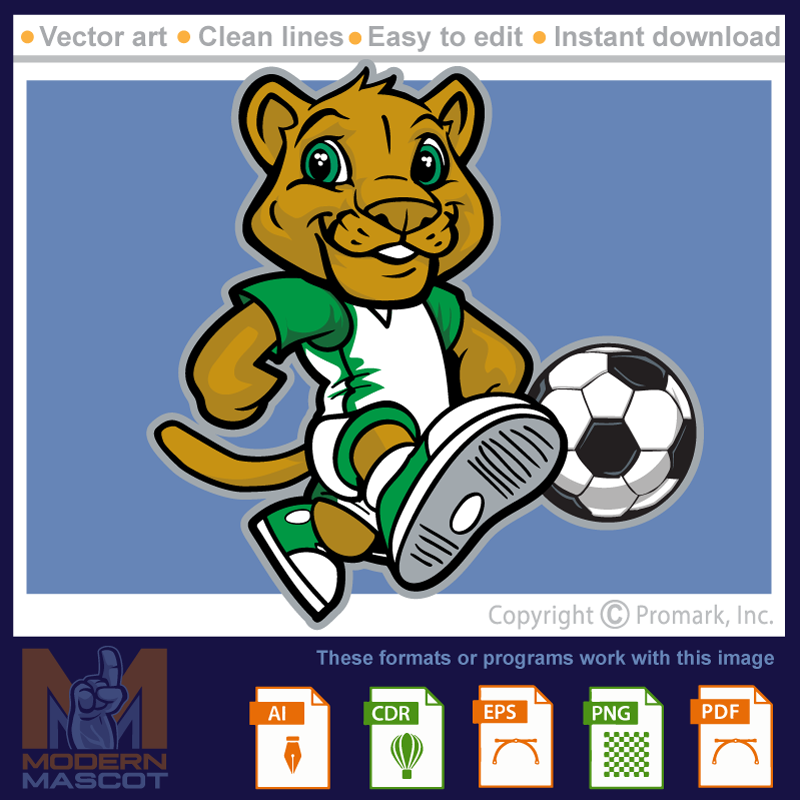Cougar Soccer 1 - cougar_22_soccer_01