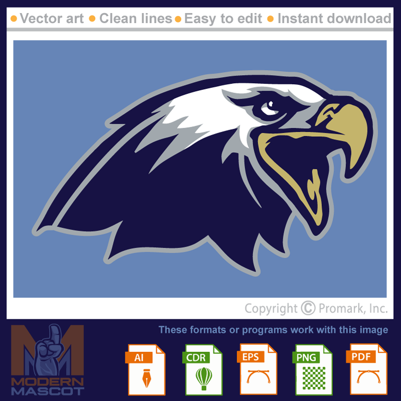 Eagle Head 2 - eagle_22_02
