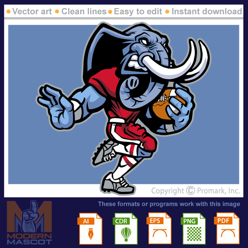 Elephant Football - elephant_22_football_01