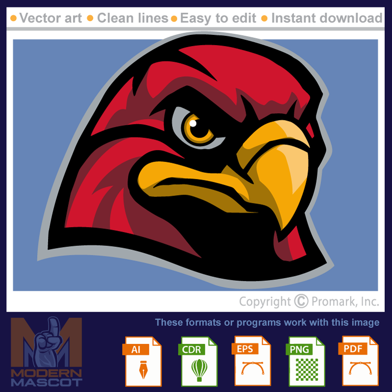 Falcon Head 8 - falcon_22_08