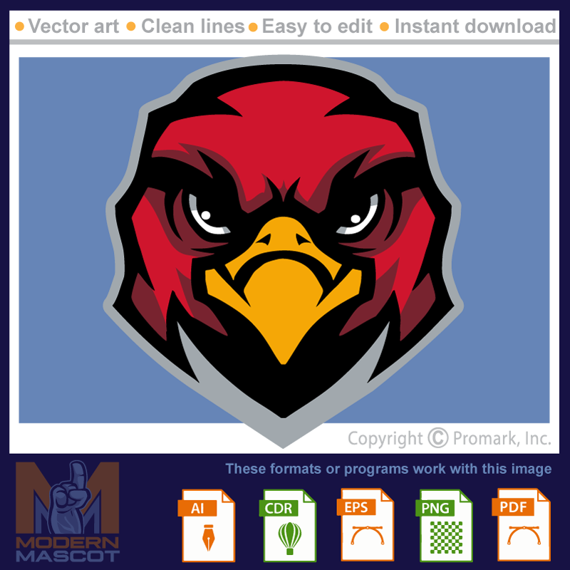 Falcon Head 10 - falcon_22_10