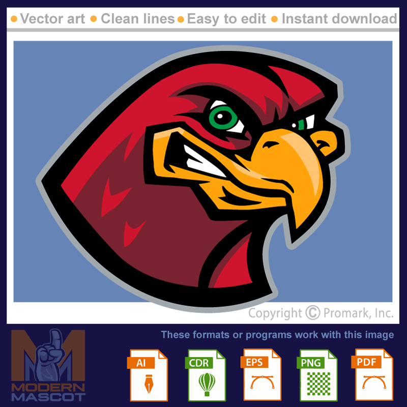 Hawk Head 3- hawk_22_06