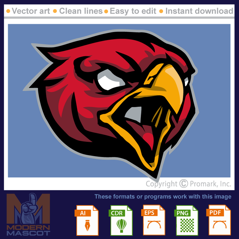 Hawk Head 4 - hawk_22_07