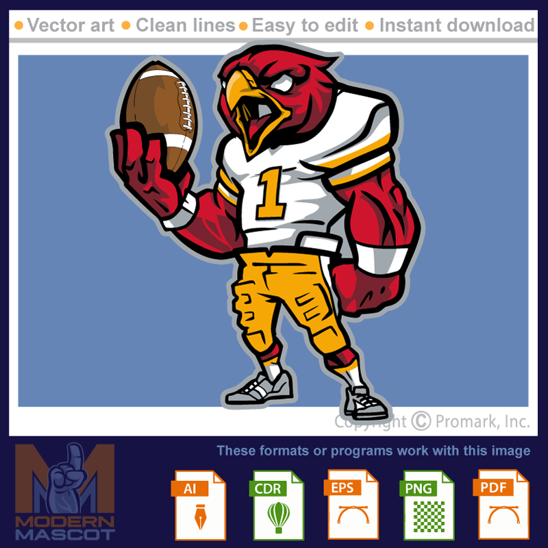 Hawk Football 2- hawk_22_football_02