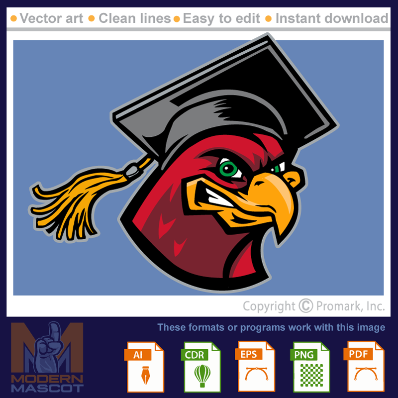 Hawk Graduate - hawk_22_spirit_02