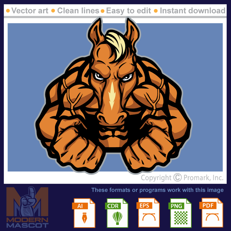 Horse Muscle 1 - horse_22_muscle_01