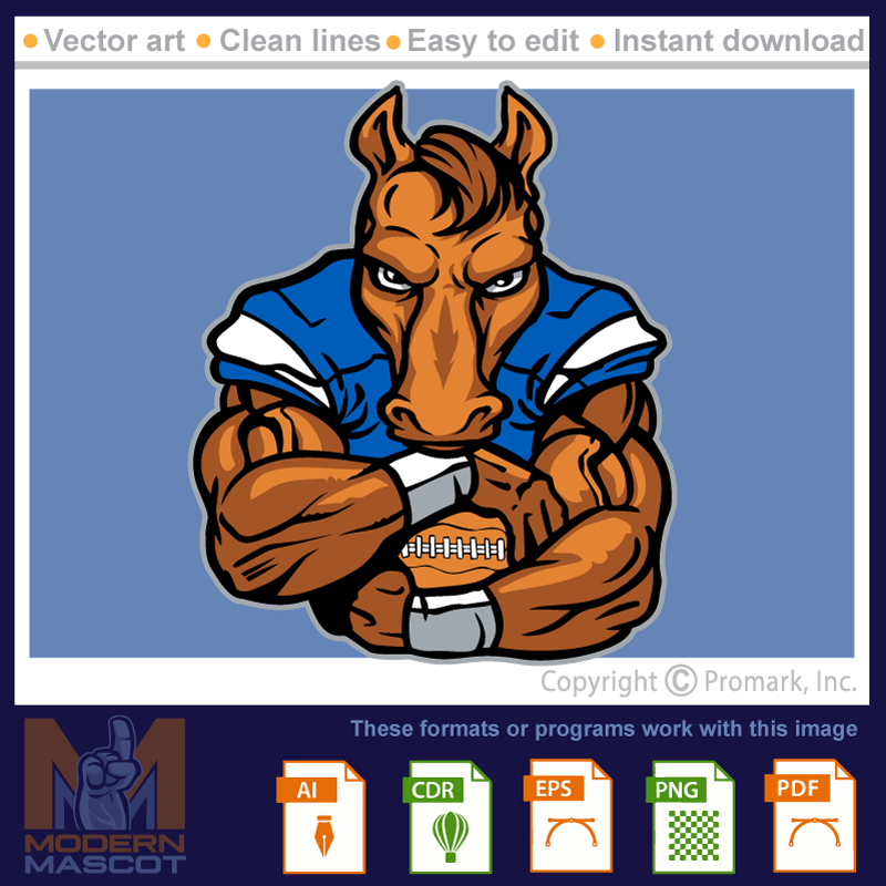 Horse Football 5 - horse_22_football_05