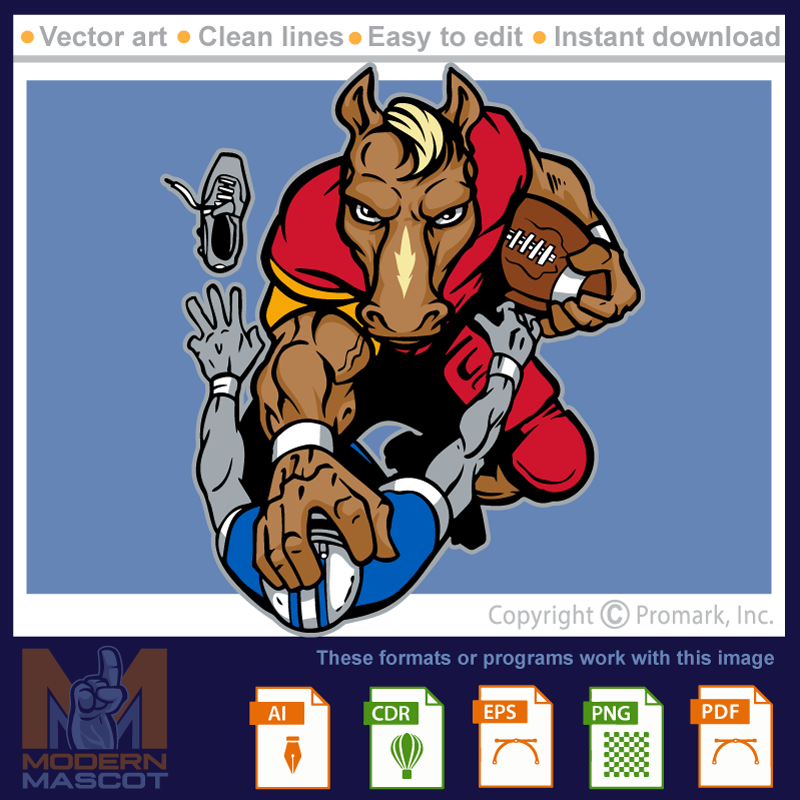 Horse Football 6 - horse_22_football_06
