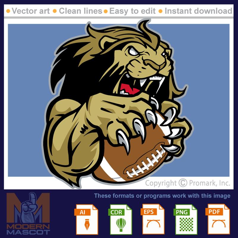 Lion Football 9 - lion_22_football_09