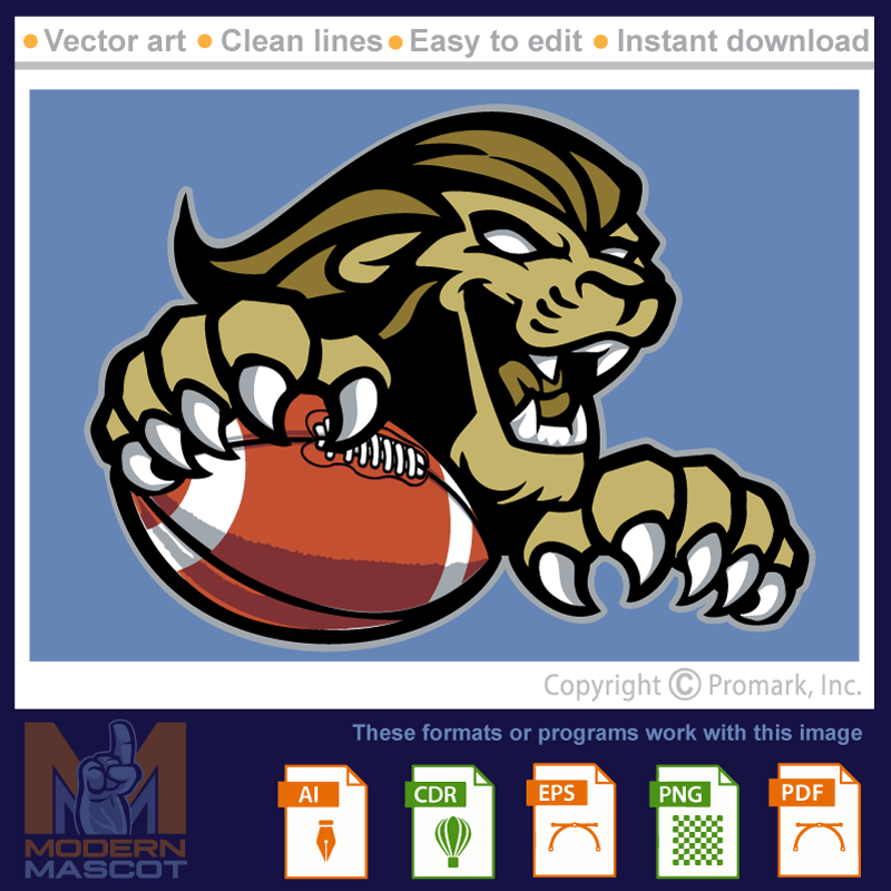 Lion Football 12 - lion_22_football_12