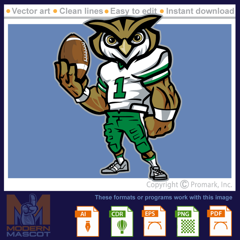 Owl Football 1 - owl_22_football_01