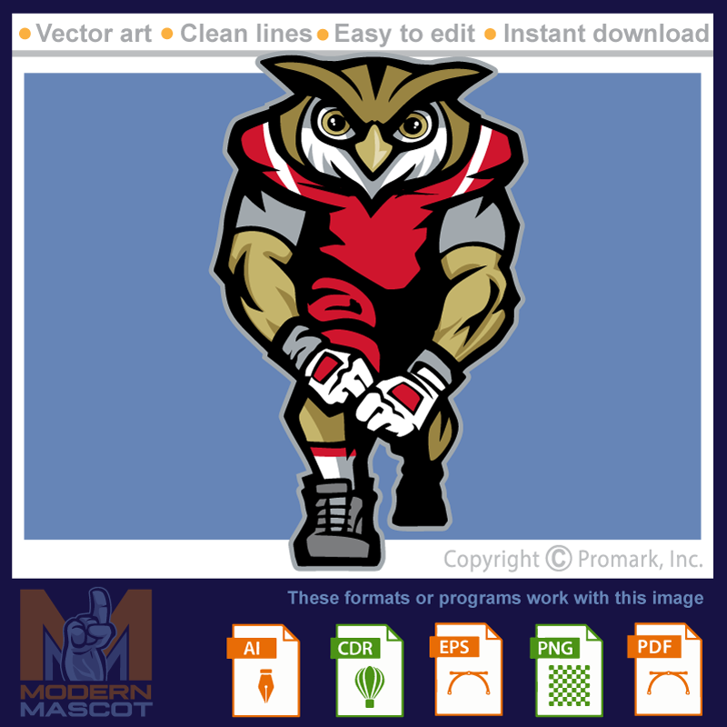 Owl Football 2 - owl_22_football_02