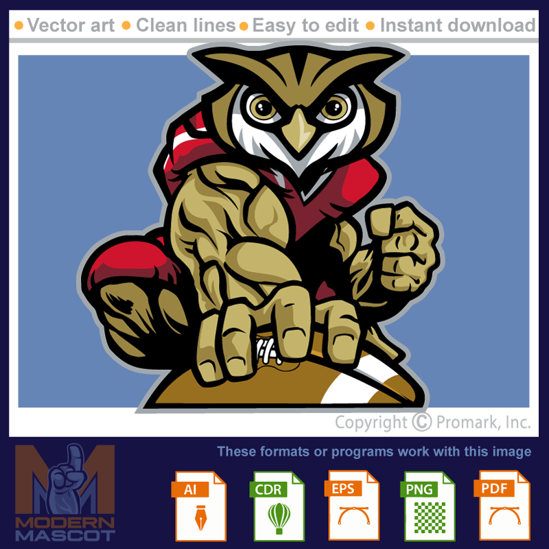Owl Football 3 - owl_22_football_03