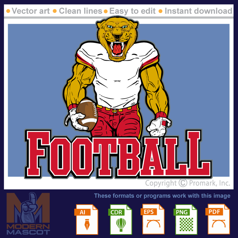 Panther Football 1 - panther_22_football_01