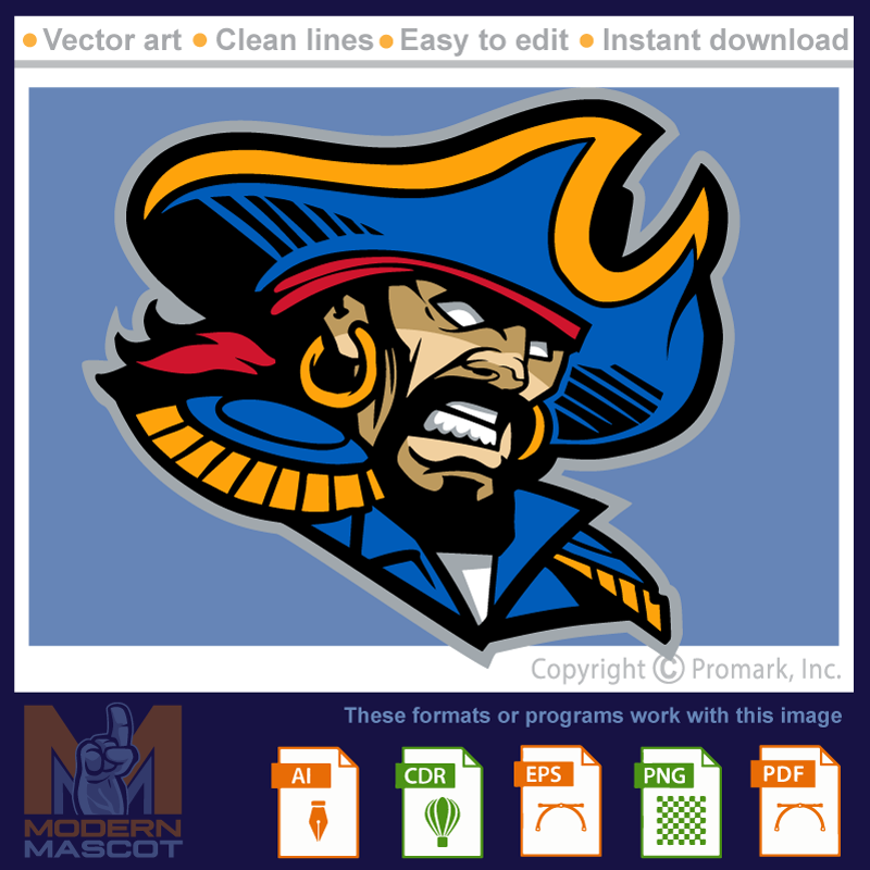 Pirate Head logo - pirate_22_08
