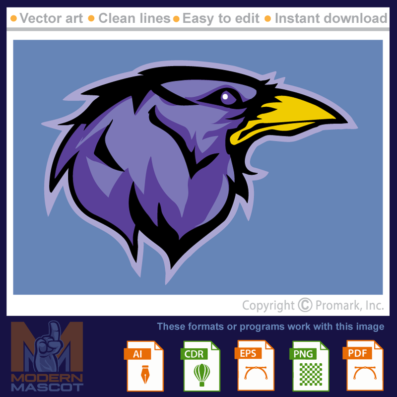 Raven 2 - raven_22_02