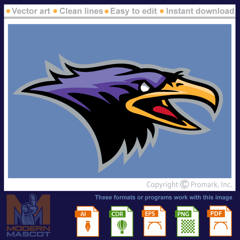 Raven 6 - raven_22_06