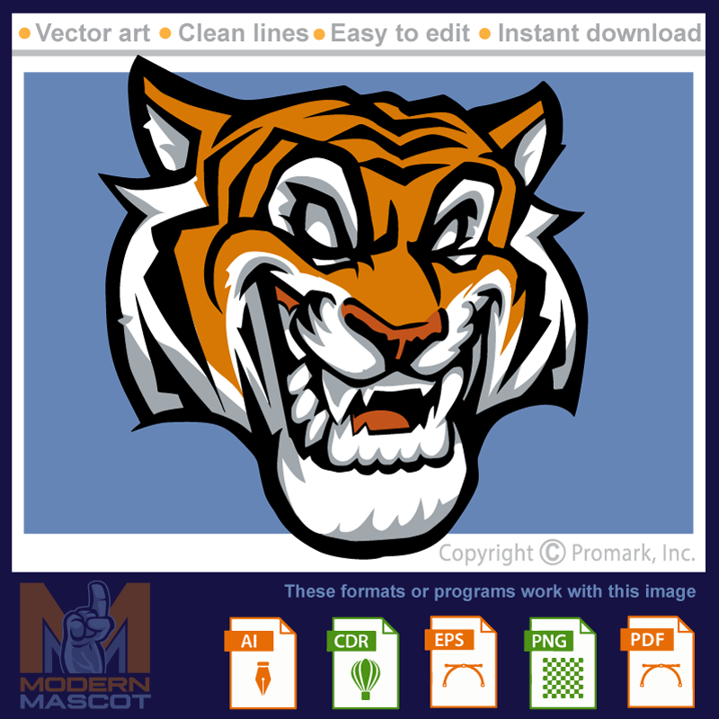 Tiger Head 2 - tiger_22_02