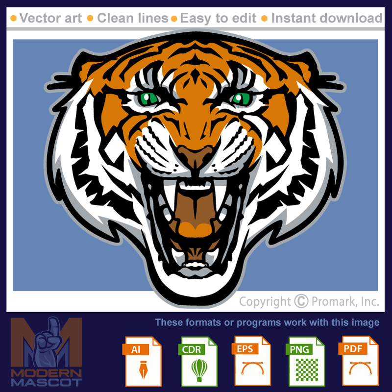 Tiger Head 7 - tiger_22_07