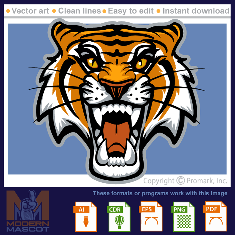 Tiger Head 11 - tiger_22_11