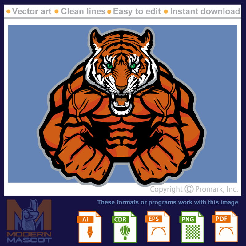 Tiger Muscle Pose - tiger_22_fitness_05