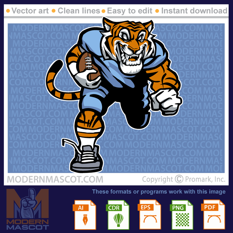 Tiger Football - tiger_23_football_14