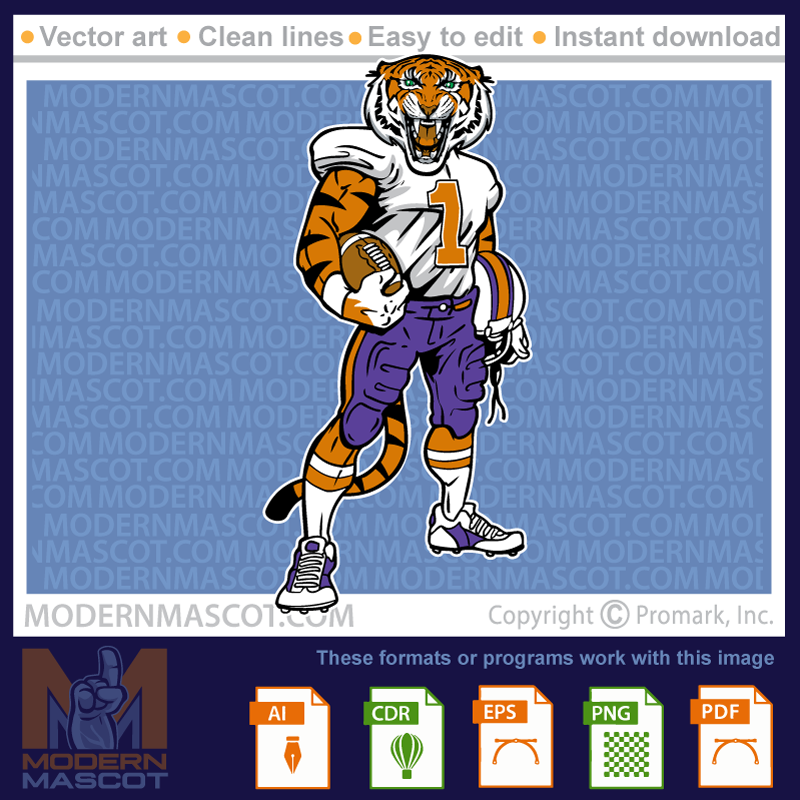 Tiger Football - tiger_23_football_17