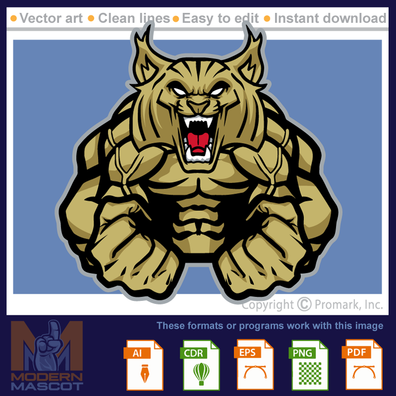 Wildcat Muscle 2 - wildcat_22_fitness_02