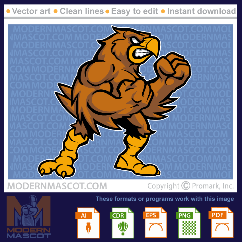 Eagle Fighting - eagle_23_37
