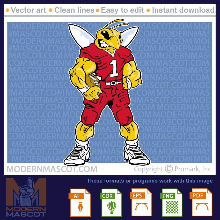 Bee football, hornets football, yellowjacket ball, clipart for teams, schools and sports
