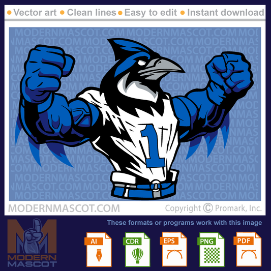 Bluejay Football - bluejay_football_24_01