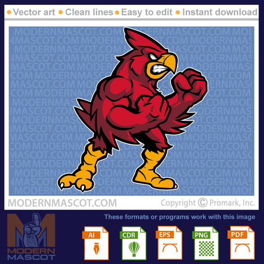 Cardinal Fight - cardinal_23_full_09