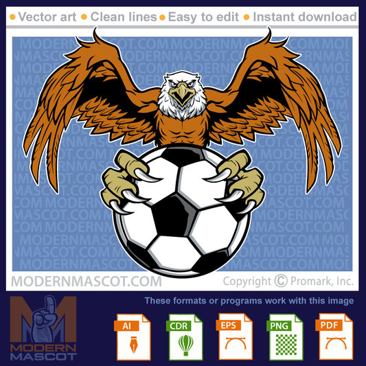 Eagle Soccer - eagle_23_soccer_02