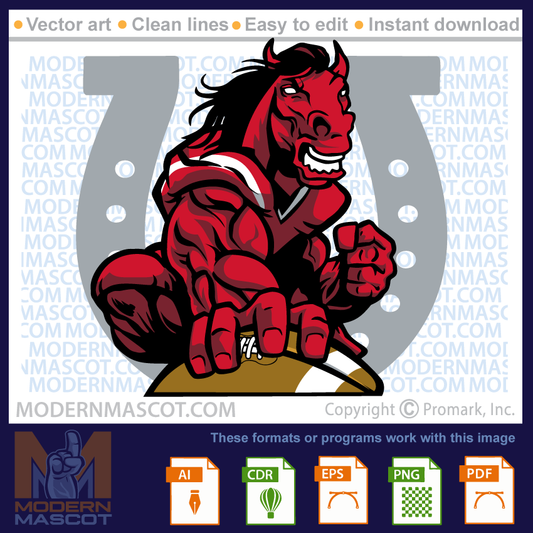 Horse Football - horse_football_24_01