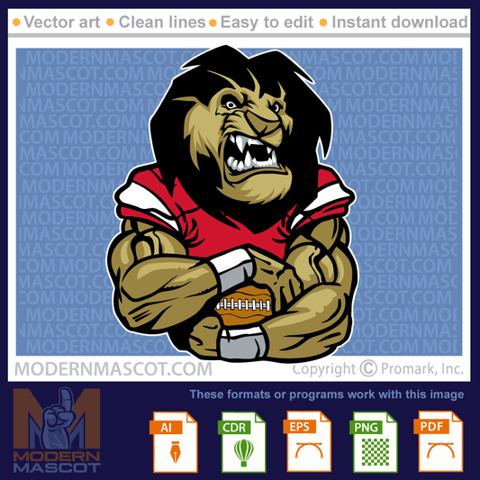 Lion Football - lion_23_football_13