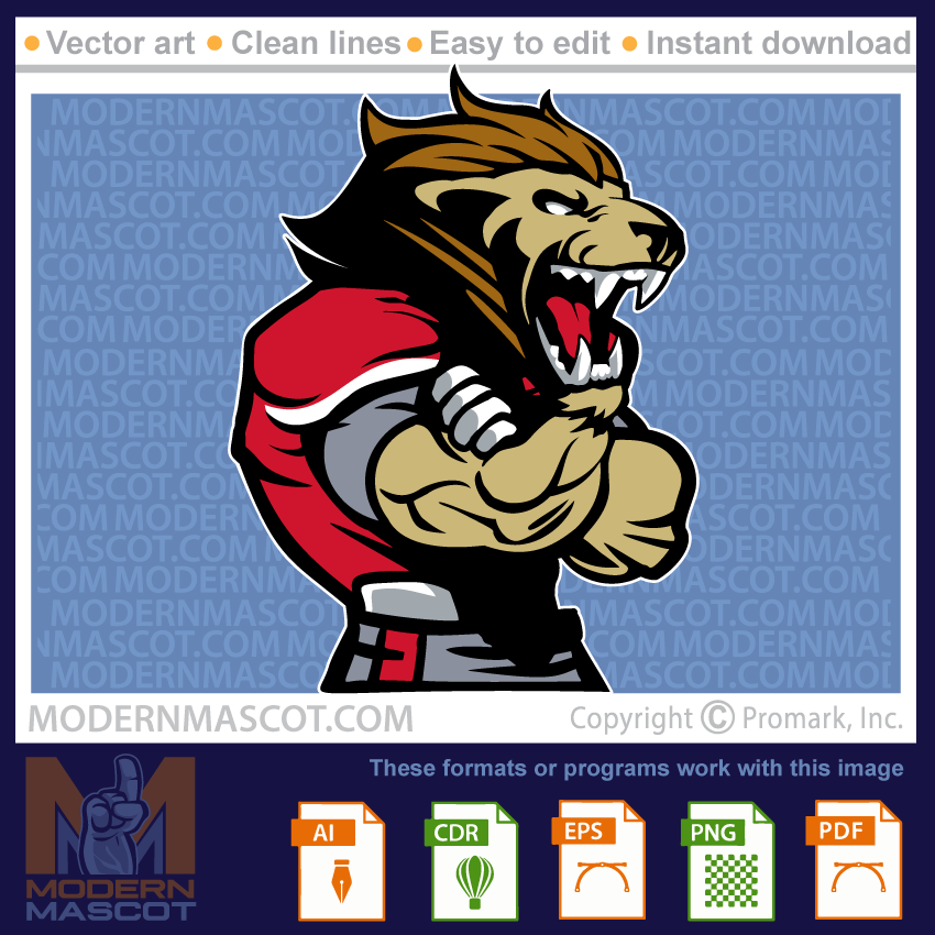 Lion Football - lion_23_football_14