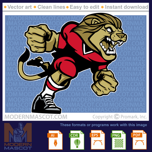 Lion Football - lion_23_football_15