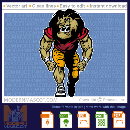 Lion Football - lion_23_football_17