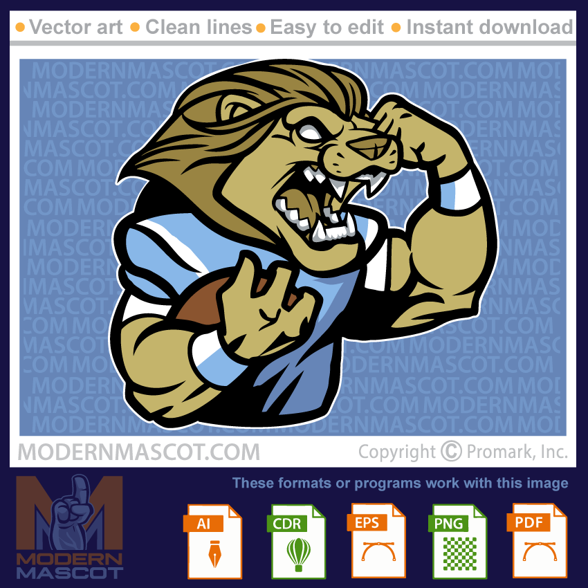 Lion Football - lion_23_football_23