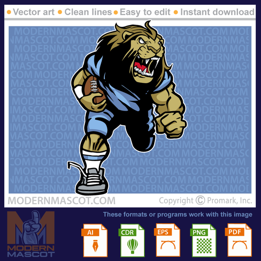 Lion Football - lion_23_football_24